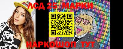 гидропоника Камышлов