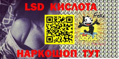 гидропоника Камышлов