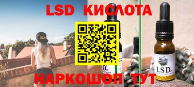 гидропоника Камышлов