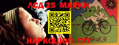 гидропоника Камышлов