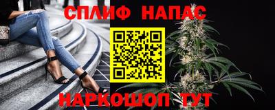 гашик Канаш