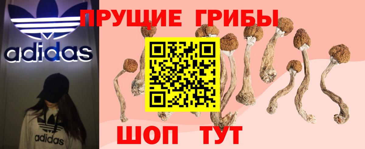 купить   Галлюциногенные грибы Cubensis  Крымск  Вход с VPN  Галлюциногенные грибы Cubensis 